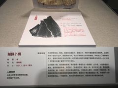-北京大学赛克勒考古与艺术博物馆