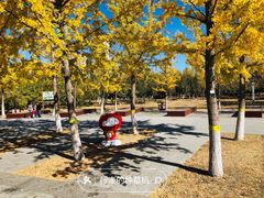 -永定河休闲森林公园