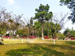 -广东外语外贸大学(白云山校区)