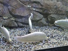 -石林冰雪海洋世界