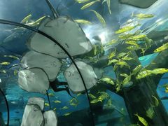 -福州罗源湾海洋世界旅游区
