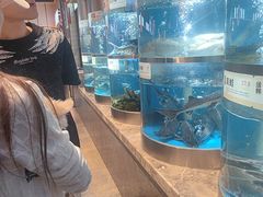 -老船舫·现做活鲜鱼馆(东郊记忆店)