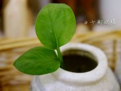 android_upload_pic-十面欢腾·海鲜面·台式Bistro(长乐路店)