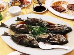 -老字号蛇口德记烧腊饭店·海鲜加工