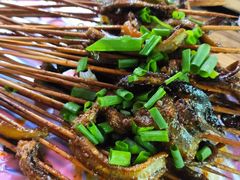 -晓靖轩烧烤(沙河风情店)