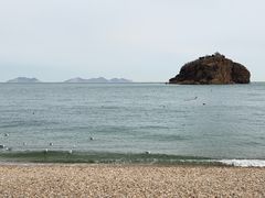 -棒棰岛宾馆景区