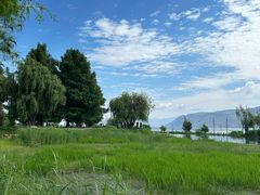 -才村湿地公园