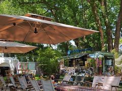 -上海佘山国家森林公园西佘山园