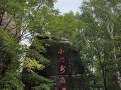 -汤旺河林海奇石景区