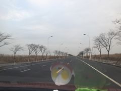 -南汇嘴观海公园