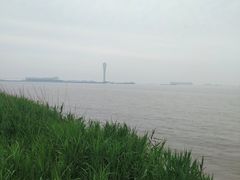 -上海滨江森林公园