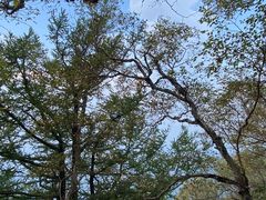 -白草畔自然风景区