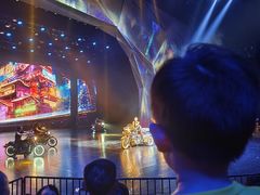 -重庆国际马戏城
