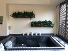 -春晖园度假酒店温泉