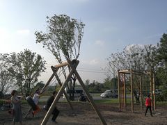 -铁山坪森林公园