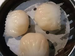 -糖朝(尖沙咀店)