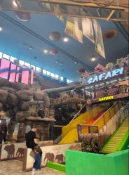 -卡通尼·Safari非洲探索乐园·生日会(金桥国际商业广场店)