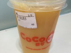 芒果益菌多-CoCo都可(西安路民勇店)