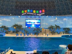 -泉城欧乐堡海洋极地世界