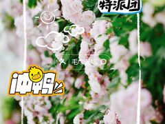-上海辰山植物园
