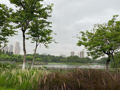 -映月湖公园