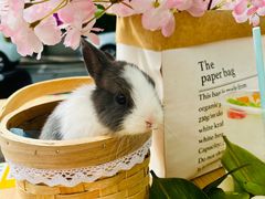 -大象厨房(重庆道店)