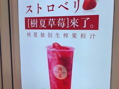 -树夏(金楠天街店)