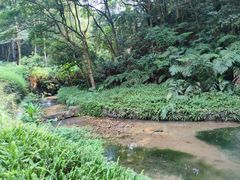 -黄埔油麻山森林公园