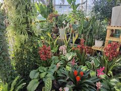 -国家植物园南园