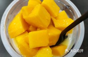 Fresh Mango Double-Layer Milk Custard