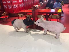 门面-猪角·闽南猪脚饭(上梅林店)