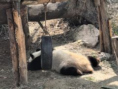 -宁波野生动物园