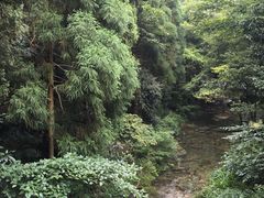 -雁荡山风景名胜区-小龙湫