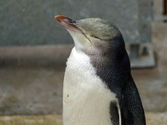 -大连老虎滩海洋公园