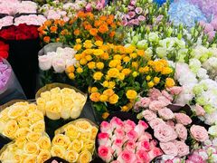 -双季花艺园艺市场(浦东店)