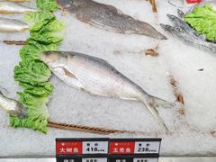 -宝燕壹号(徐汇店)