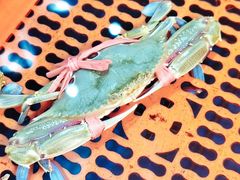 -巽寮印象美食部落餐厅·海鲜·地方特色菜(惠州体验店)