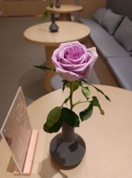 点击看大图 -FineYoga梵音瑜伽·普拉提