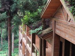 -武陵山森林公园