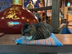 -马灯部落·西湖边的创意山景餐厅(虎跑动物园店)