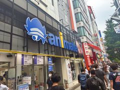 -Animate(秋叶原本馆)