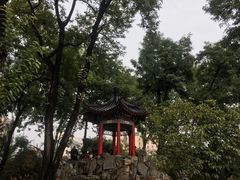 -莲湖公园