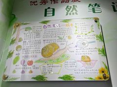 -上海昆虫博物馆