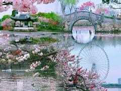 -无锡蠡湖国家湿地公园-蠡园