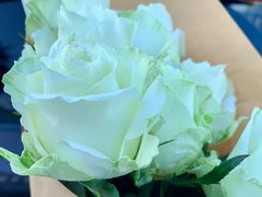 -杭州街角花屋花店(闻堰店)