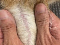 -comecome来吧宠物(奥克斯中心店)