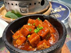 -甘家界牌柠檬鸭(青山店)