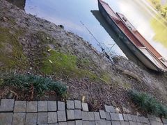 -长广溪湿地公园