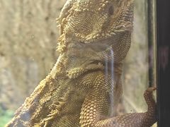 -云南野生动物园