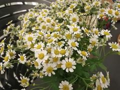 -悦融琥珀·京鲁菜·海味珍品(西单店)